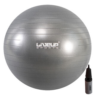 Gym Ball 75cm Treningsball med pumpe