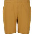 FZ Forza Landos Shorts mustard gold XS limited edition
