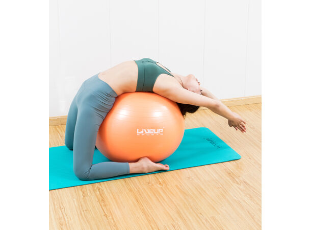 Gym Ball 65cm Treningsball med pumpe