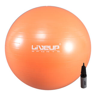 Gym Ball 65cm Treningsball med pumpe